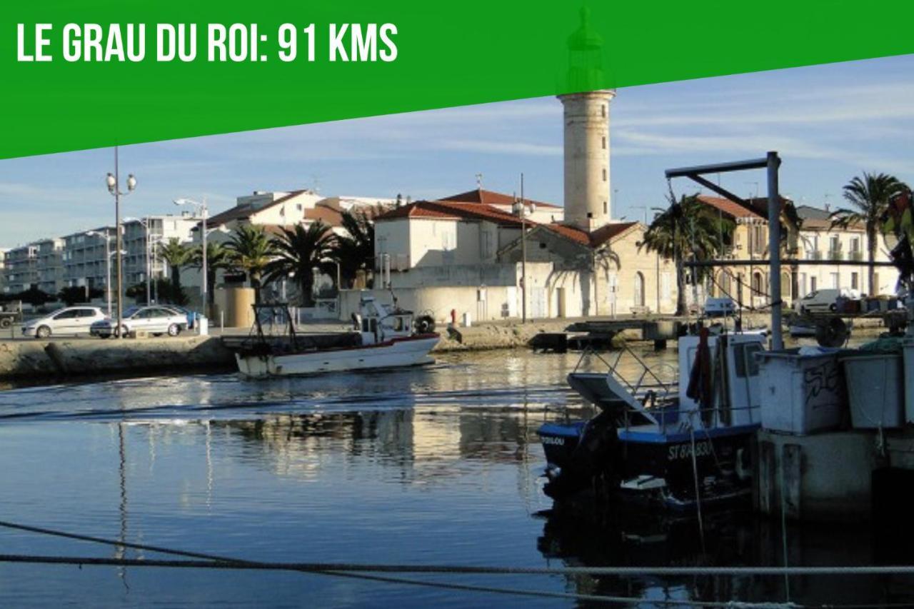 Le Cocon Des Halles 3 - Intra Muros - Ac Clim - Wifi Apartman Avignon Kültér fotó